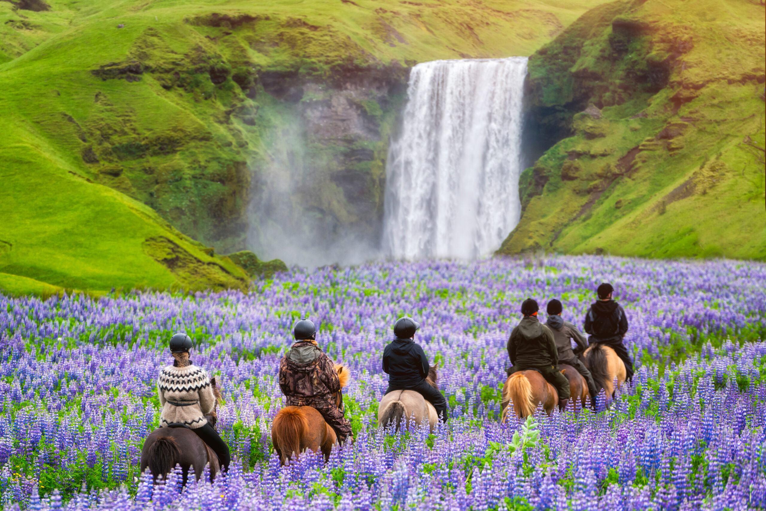 Tourists horseback riding near the majestic Skogafoss Waterfall in Iceland’s countryside during summer.