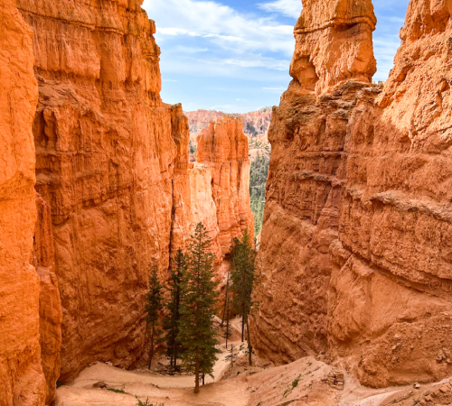 The Two Bridges Trail winding through Bryce Canyon, with steep switchbacks descending among colorful hoodoos and canyon walls, showcases the natural artistry of one of Utah’s most scenic landscapes.